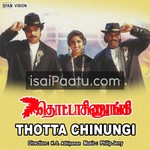 Thotta Chinungi (1995) Movie Poster